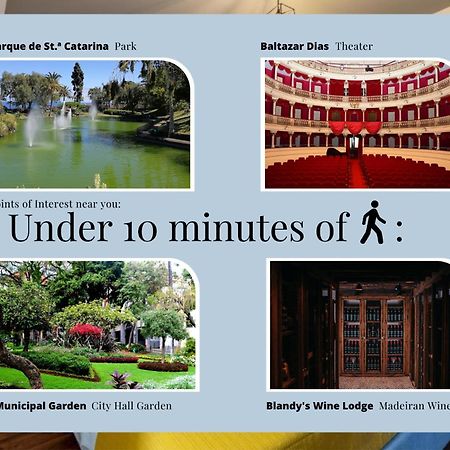 Social Lodge - Centro Do Funchal Екстер'єр фото